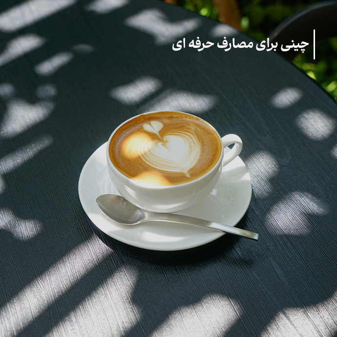 چینی برای مصارف حرفه ای (هتل ها، رستوران ها و کافی شاپ ها (هورکا))
